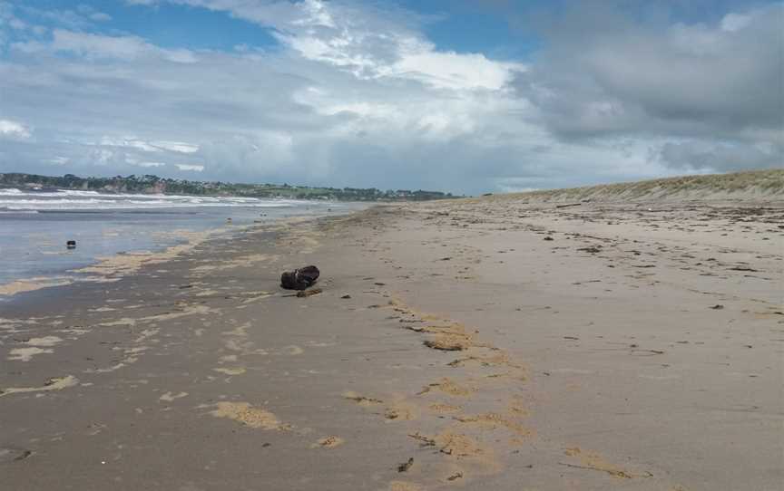 Kaituna Scenic Reserve, Papamoa Beach, New Zealand