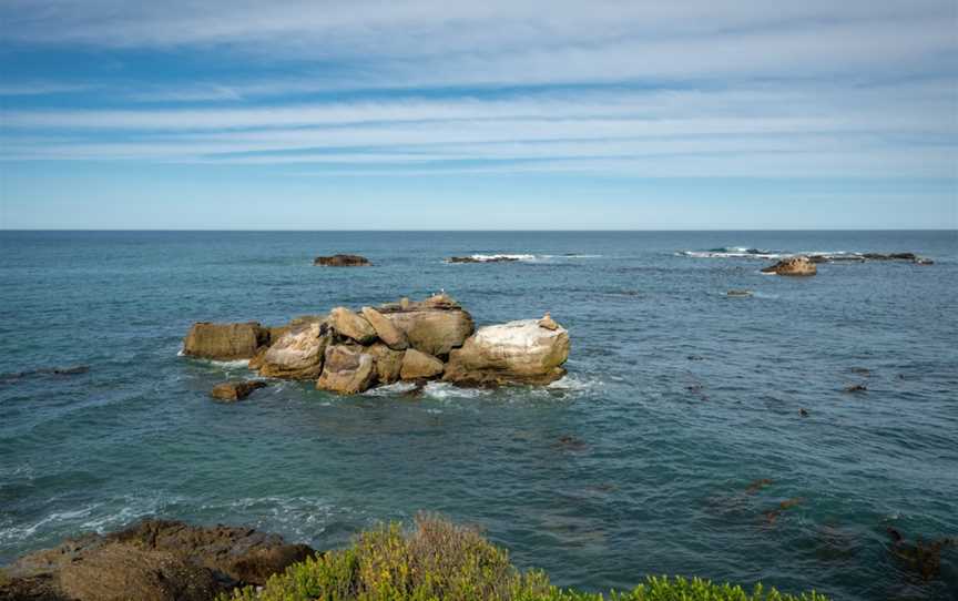 Shag Point Lookout, Palmerston, New Zealand