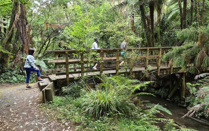 Moirs Hill Walkway / Pohuehue Waterfalls DOC #11, Warkworth, New Zealand