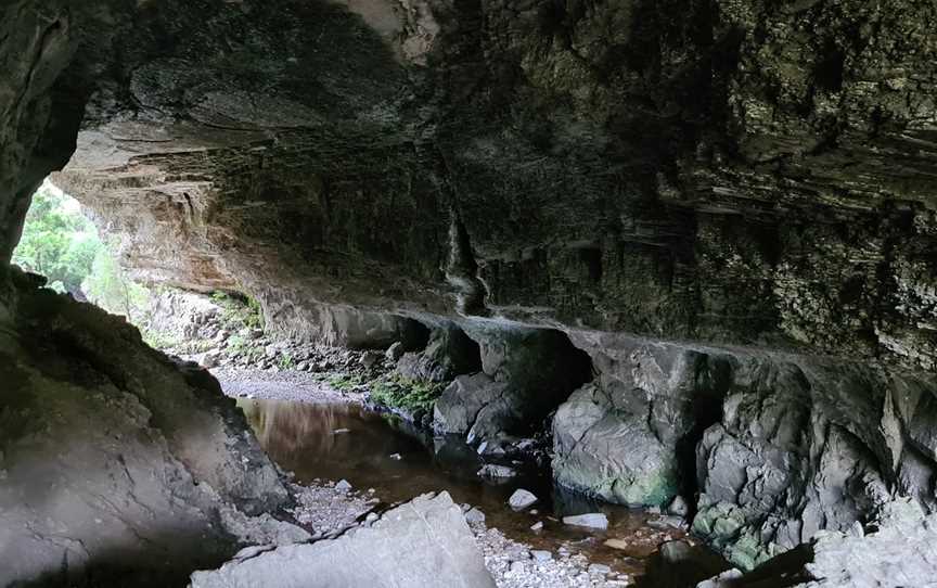 Oparara Basin Arches, Nelson, New Zealand