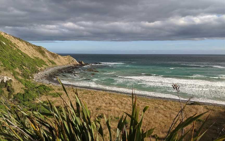 Roaring Bay Penguins & Seals Observatory, Balclutha, New Zealand