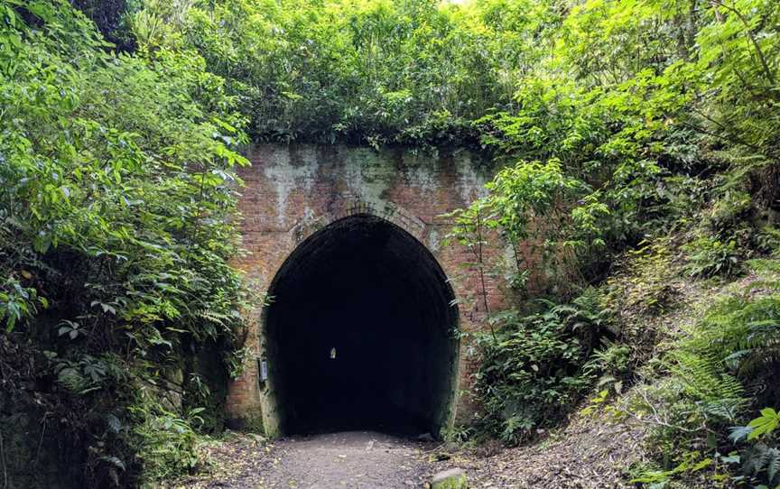 Tunnel Hill, Owaka, New Zealand