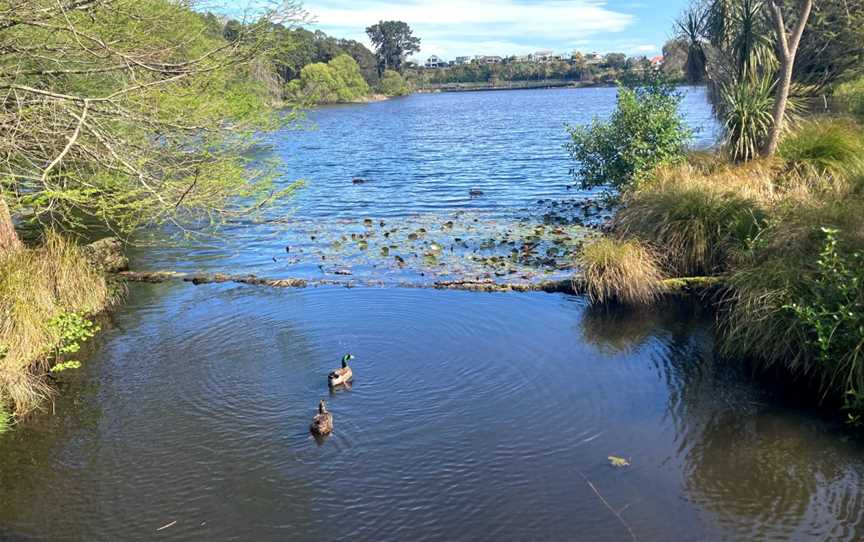 Virginia Lake Aviary, Whanganui, New Zealand