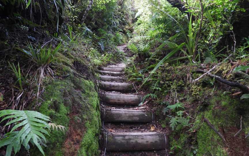 Mount Te Aroha Summit & Broadcast Tower, Te Aroha, New Zealand