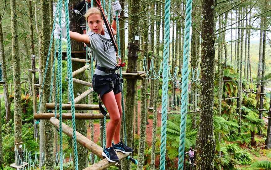 Adrenalin Forest Bay of Plenty, Tauranga, New Zealand