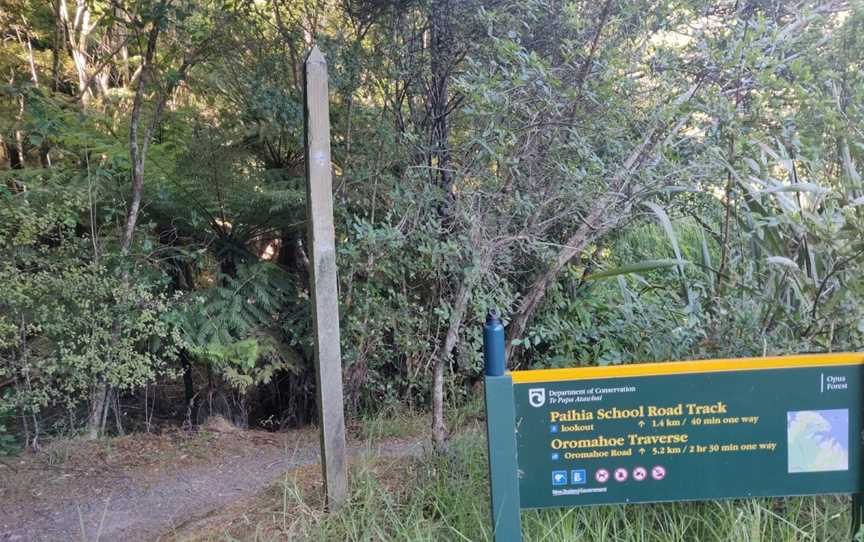 Opua Forest Paihia Lookout Track, Paihia, New Zealand