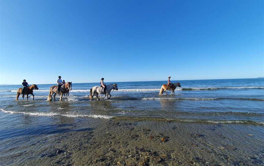 Hack'n Stay Golden Bay, Beach Horse Riding, Camping, Accommodation, Takaka, New Zealand