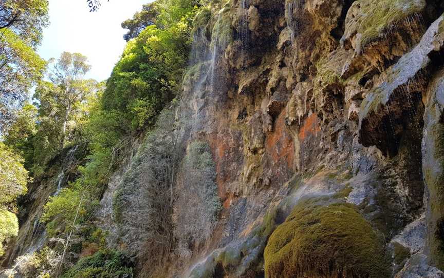 Whispering Falls, Northwest Nelson, New Zealand