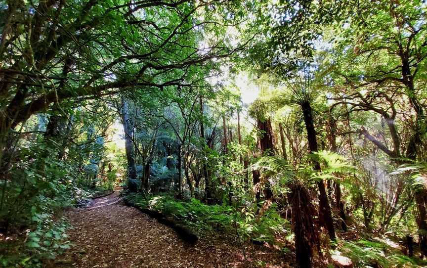 Jim Barnett Reserve, Waotu, New Zealand