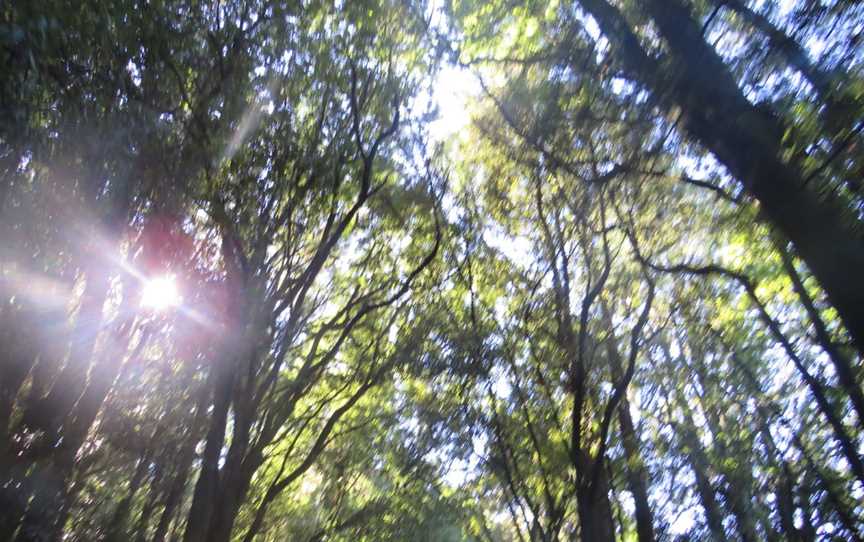 Jim Barnett Reserve, Waotu, New Zealand