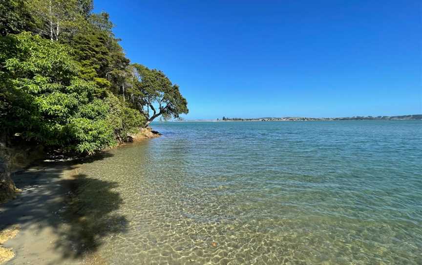 Whangateau Reserve, Warkworth, New Zealand