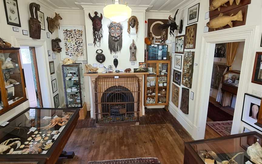 The Dunedin Museum of Natural Mystery, Dunedin, New Zealand