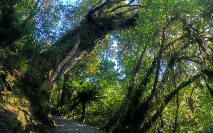 Start Alex Knob Trail, Hokitika, New Zealand