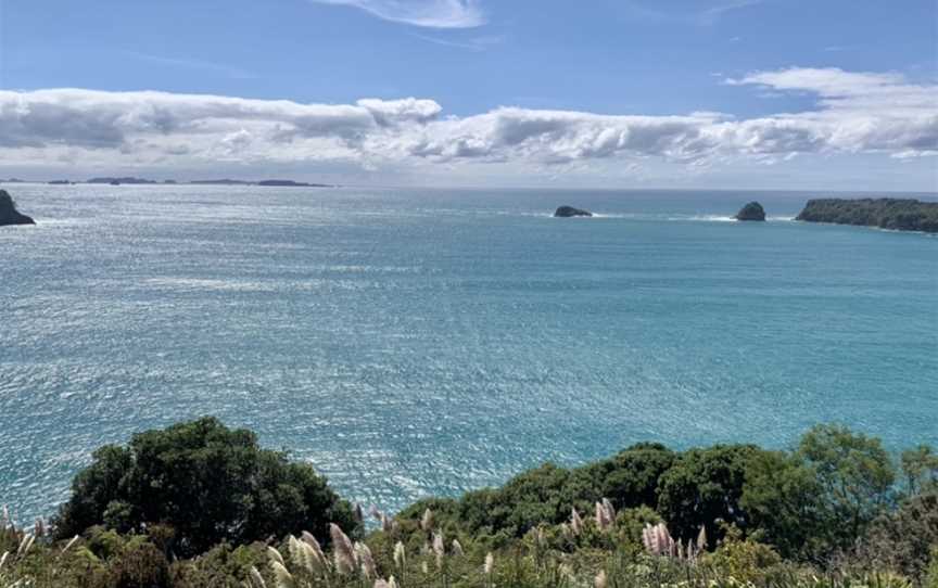 Gemstone Bay, Hahei, New Zealand