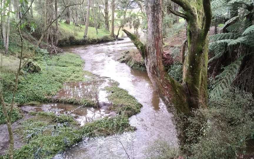 Morrinsville River Walk, Morrinsville, New Zealand