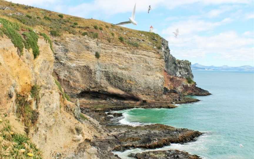 Natures Wonders, Dunedin, New Zealand