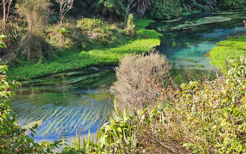 Te Waihou (Leslie Road) Car Park, Cambridge, New Zealand