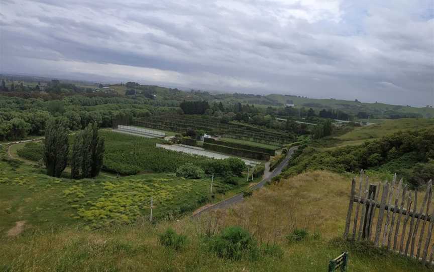 Otatara Pa Historic Reserve, Taradale, New Zealand