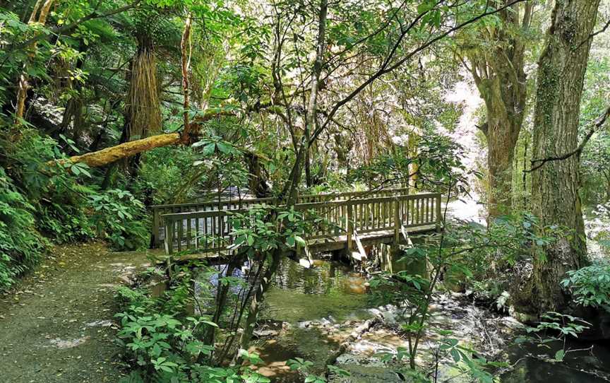 Purakanui Falls, Owaka, New Zealand