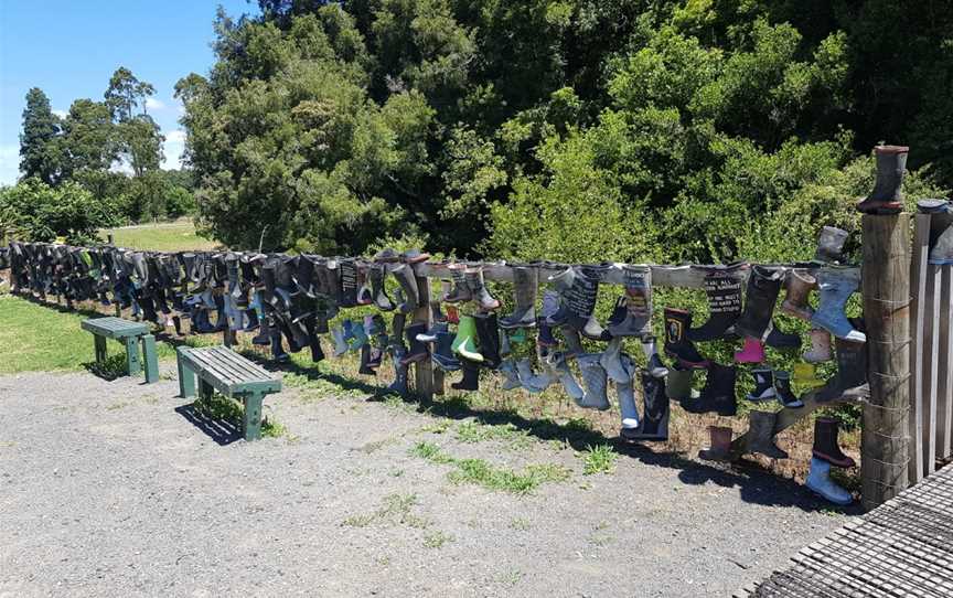 White Pine Bush Gumboot fence, White Pine Bush, New Zealand