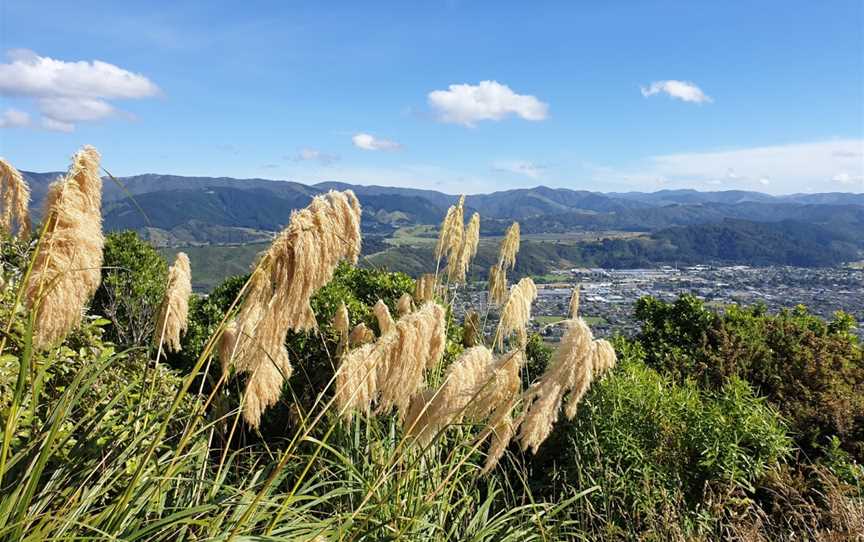 Cannon Point Trig, Upper Hutt, New Zealand