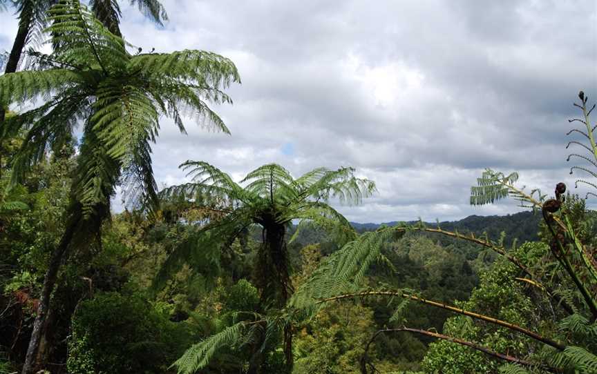 Moki Tunnel, Tahora, New Zealand