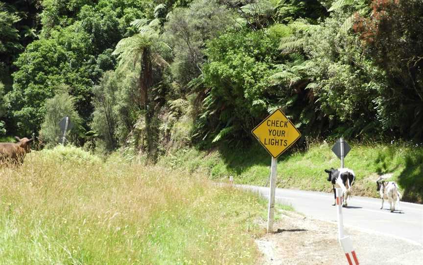 Moki Tunnel, Tahora, New Zealand