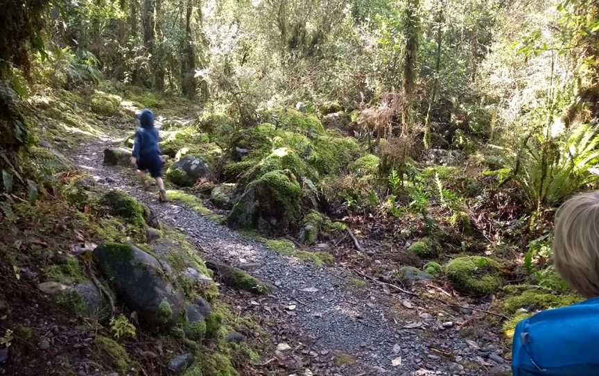 Londonderry Rock, Maruia Valley, New Zealand