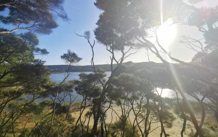 Lake Ototoa, South Head, New Zealand