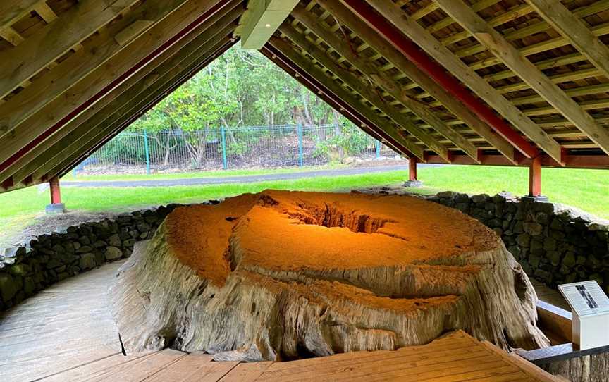 Maori War Canoe, Waitangi, New Zealand