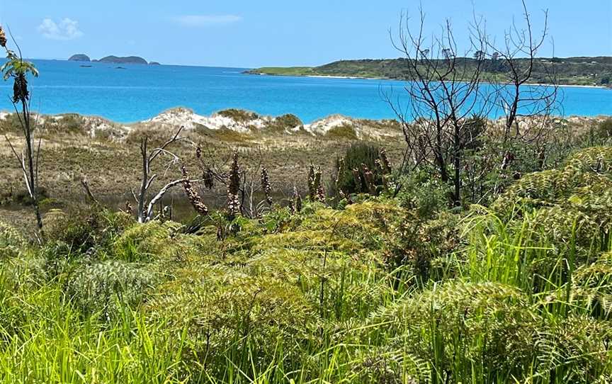 Karikari Beach, Karikari Peninsula, New Zealand