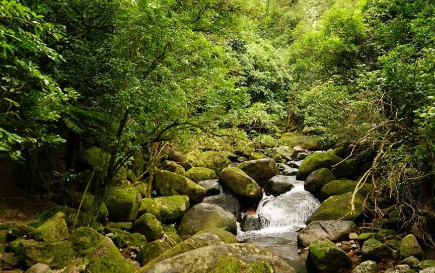 Wairere Falls Track, Te Aroha, New Zealand