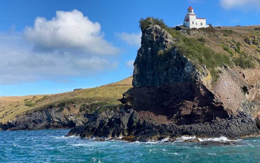 Taiaroa Head, Harington Point, New Zealand