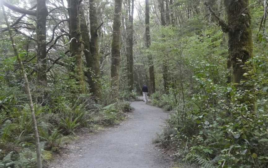 Blue Pools Track, Makarora, New Zealand