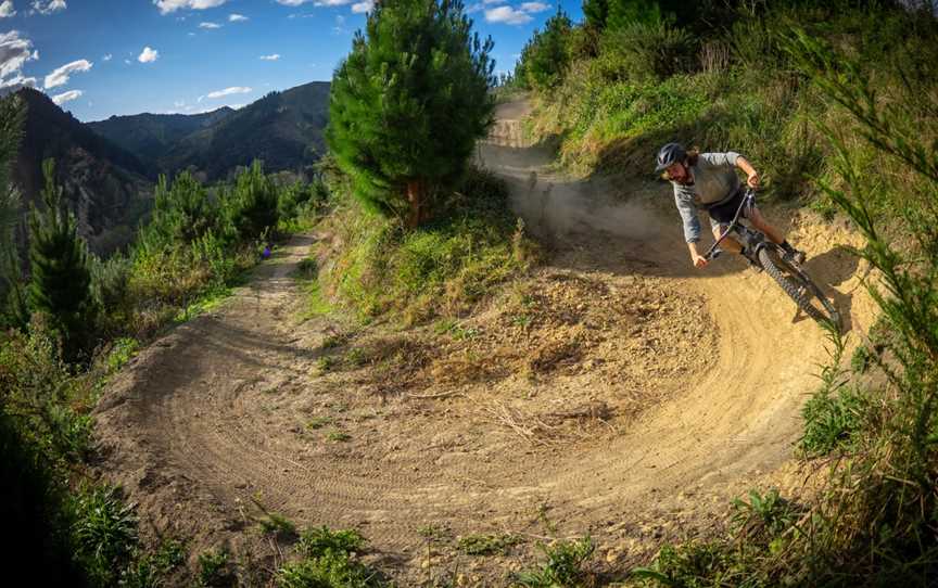 That Place - Mountain Bike Park, Whanganui, New Zealand