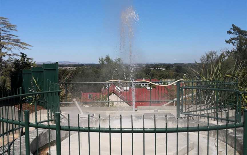 Mokena Geyser, Te Aroha, New Zealand