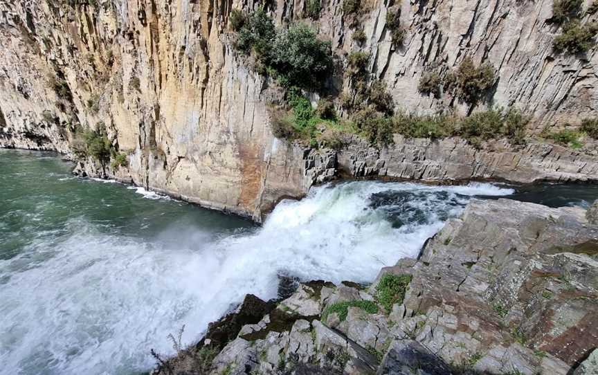 Aniwhenua Falls, Waiohau, New Zealand