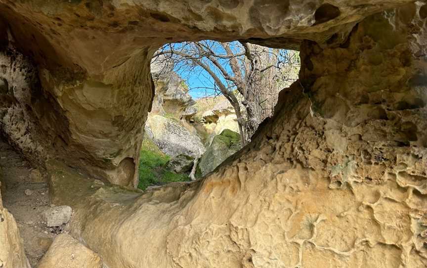 Anatini Fossil Place, Island Cliff, New Zealand