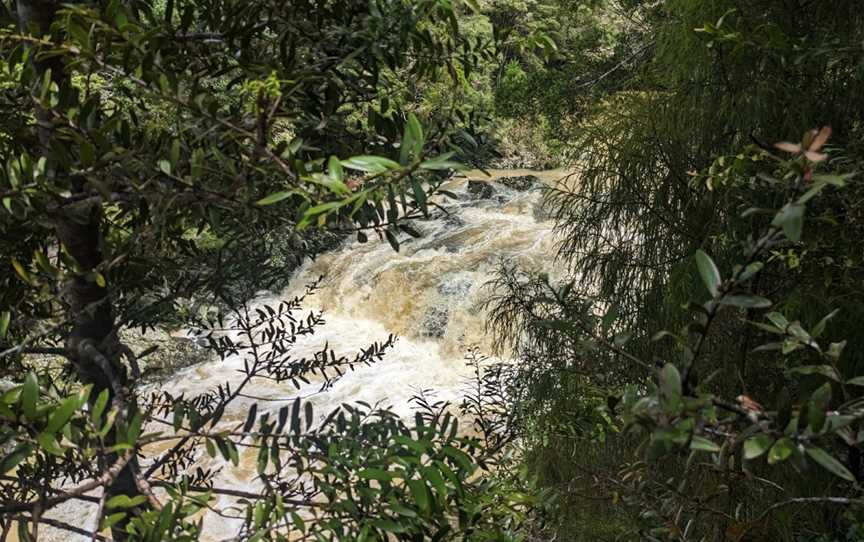 Taheke Waterfalls, Whangarei, New Zealand