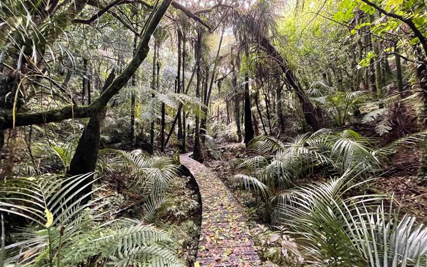 Taheke Waterfalls, Whangarei, New Zealand