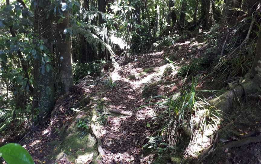 Mangamuka Summit, Kaitaia, New Zealand