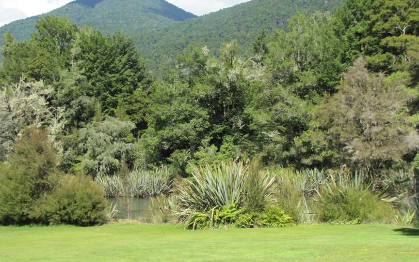 T-Rex Tree, Westport, New Zealand