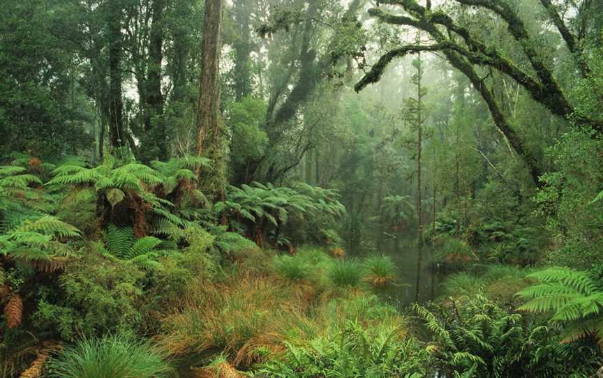 Craig Potton Gallery + Store, Nelson, New Zealand