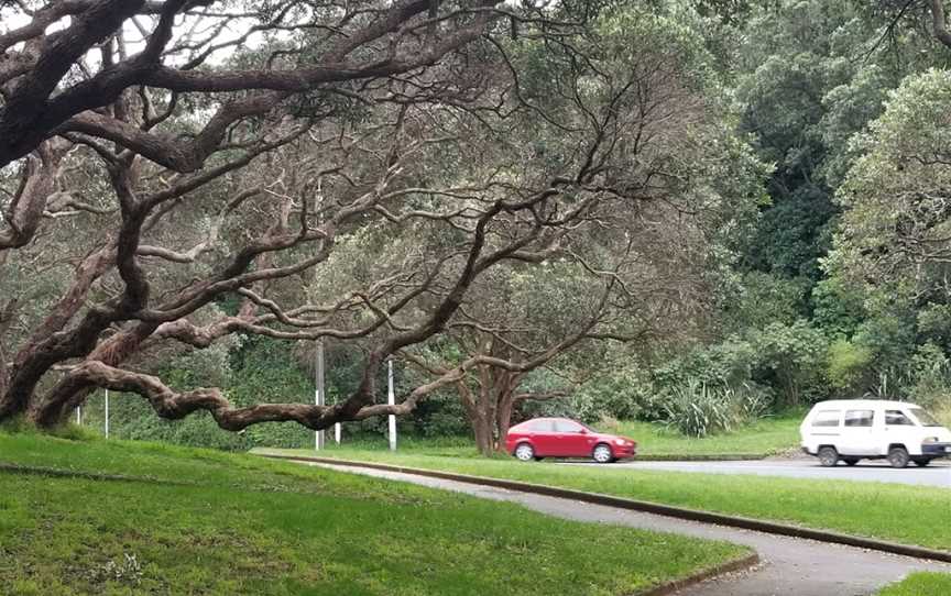 Aro Valley War Memorial, Aro Valley, New Zealand