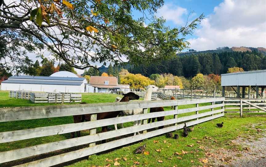 Rotorua Heritage Farm, Fairy Springs, New Zealand