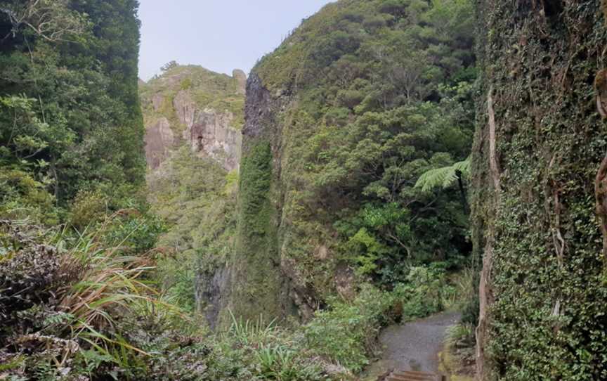 Windy Canyon Walk, Great Barrier Island, New Zealand