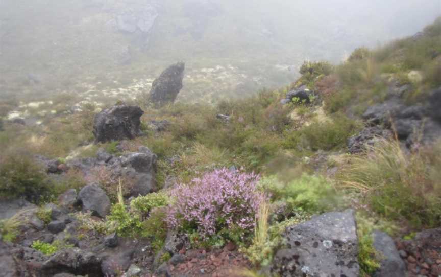 Soda Springs, Turangi, New Zealand