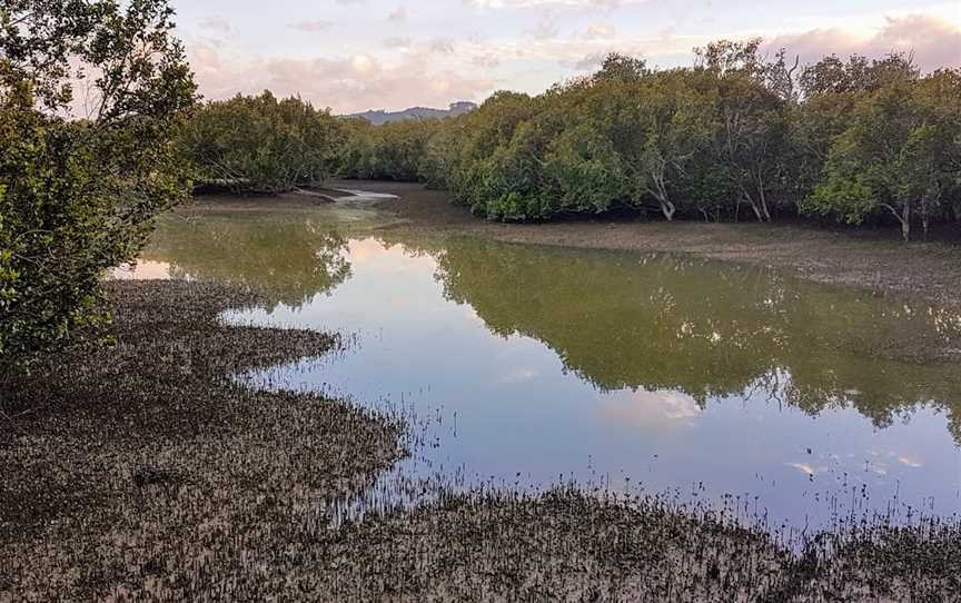 Rawene Mangrove Boardwalk, Rawene, New Zealand