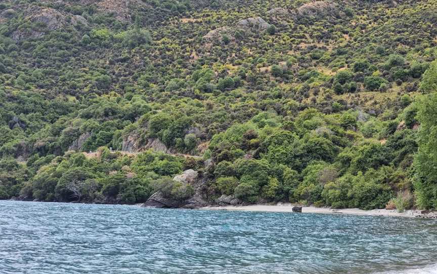 Lake wakatipu beach, Central Southland, New Zealand