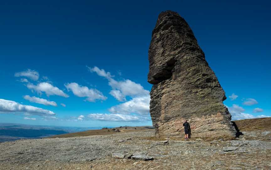 Kopuwai / The Obelisk, Fruitlands, New Zealand